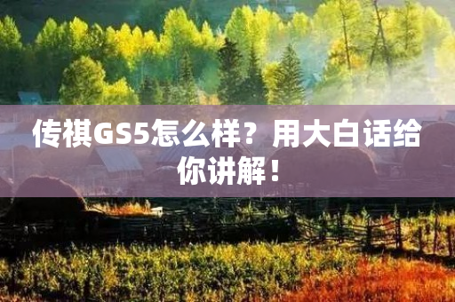 传祺gs5怎么样？用大白话给你讲解！